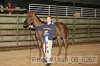 utah_08_0267 thumbnail