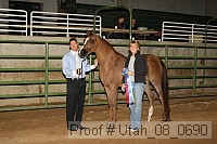 utah_08_0690 thumbnail