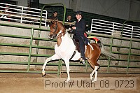 utah_08_0723 thumbnail