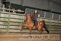 utah_08_0733 thumbnail