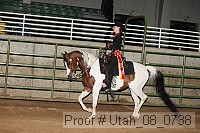 utah_08_0738 thumbnail