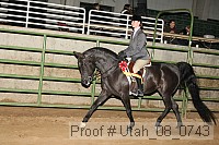 utah_08_0743 thumbnail