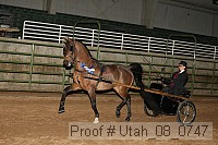utah_08_0747 thumbnail