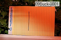 09buck-0001 thumbnail