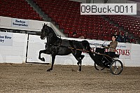 09buck-0011 thumbnail