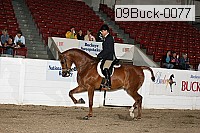 09buck-0077 thumbnail