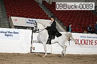09buck-0089 thumbnail