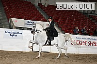 09buck-0101 thumbnail