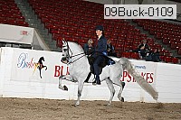 09buck-0109 thumbnail
