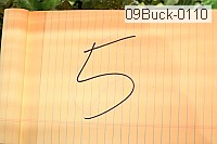 09buck-0110 thumbnail