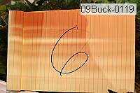 09buck-0119 thumbnail