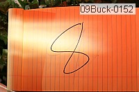 09buck-0152 thumbnail