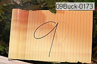 09buck-0173 thumbnail