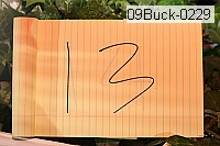 09buck-0229 thumbnail