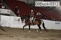 09buck-0312 thumbnail