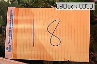 09buck-0330 thumbnail