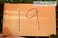 09buck-0337 thumbnail