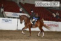 09buck-0367 thumbnail