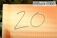 09buck-0368 thumbnail