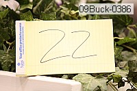 09buck-0386 thumbnail