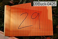 09buck-0425 thumbnail