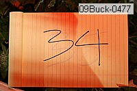 09buck-0477 thumbnail