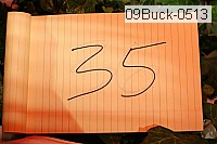 09buck-0513 thumbnail