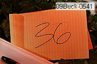 09buck-0541 thumbnail