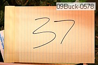 09buck-0578 thumbnail