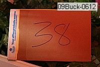 09buck-0612 thumbnail