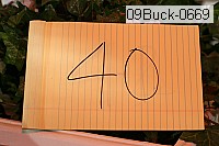 09buck-0669 thumbnail