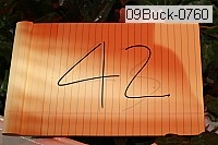 09buck-0760 thumbnail