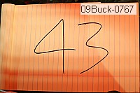 09buck-0767 thumbnail