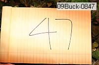 09buck-0847 thumbnail