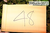 09buck-0872 thumbnail