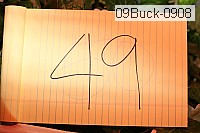 09buck-0908 thumbnail