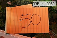 09buck-0969 thumbnail