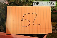 09buck-1054 thumbnail