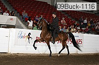 09buck-1116 thumbnail