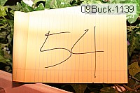 09buck-1139 thumbnail