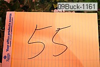 09buck-1161 thumbnail