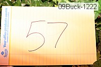 09buck-1222 thumbnail