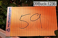 09buck-1236 thumbnail