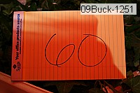 09buck-1251 thumbnail