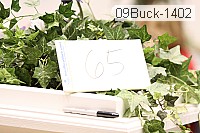 09buck-1402 thumbnail