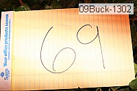 09buck-1302 thumbnail