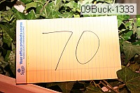 09buck-1333 thumbnail