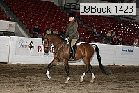 09buck-1423 thumbnail