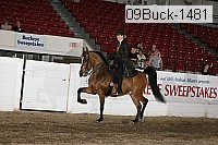 09buck-1481 thumbnail