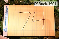 09buck-1501 thumbnail